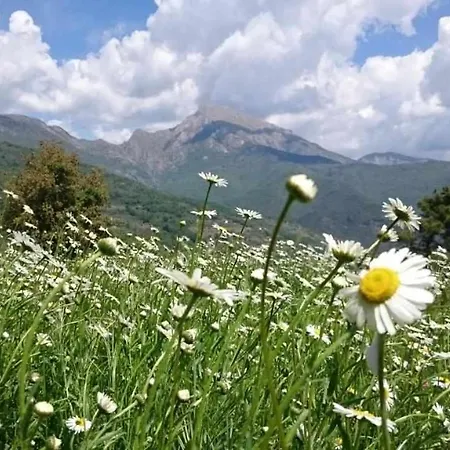 Al Pagan Alloggio per agriturismo *