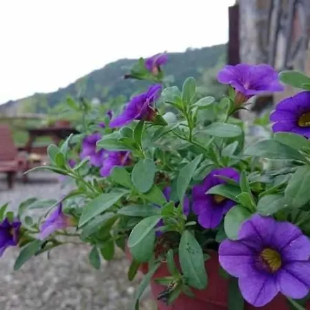 Al Pagan Alloggio per agriturismo *