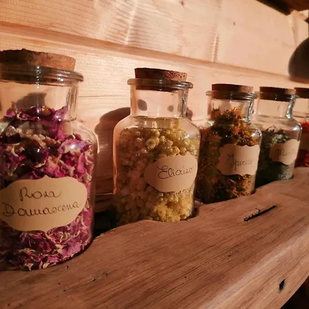 Alloggio per agriturismo Al Pagan *